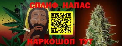 крисы Дубна