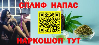 крисы Дубна