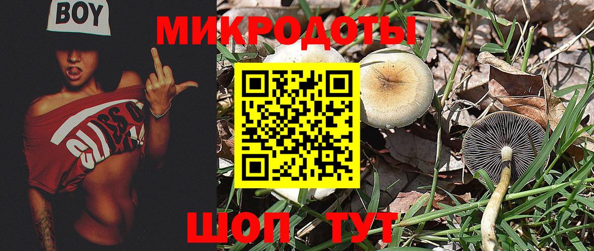 Псилоцибиновые грибы GOLDEN TEACHER Малгобек