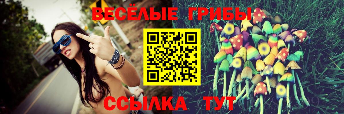 Малгобек  Псилоцибиновые грибы прущие грибы  Вход с VPN 